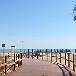 Gabbiano - *