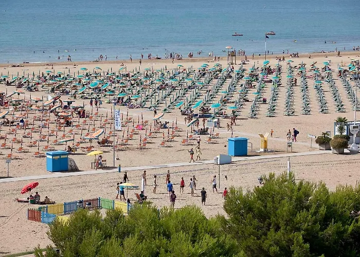 Gabbiano - * Bibione