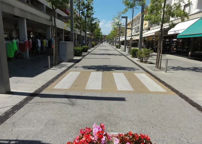 Gabbiano - * Bibione